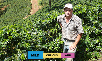 Photo of Brazil Sitio Sertaozinho Yellow Bourbon Natural Espresso 250G