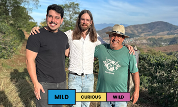 Brazil | Mantiqueira de Minas | Yellow Bourbon | Natural