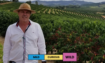 Brazil | Santa Clara | Catuai | Fermented Natural