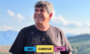 Brazil | Sitio da Torre | Yellow Bourbon | Natural | Filter | 250g