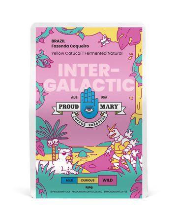 Brazil | Fazenda Coqueiro | Yellow Catucaí | Fermented Natural