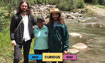 Colombia | El Zafiro | Bourbon & Castillo | Washed | Espresso | 250g