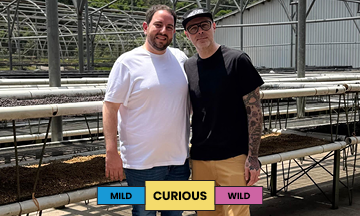 El Salvador | El Angel | Red Bourbon | Washed