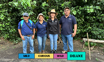 El Salvador | Los Bellotos | Bernardina | Anaerobic Honey Sunset