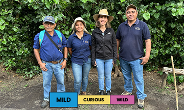 El Salvador | Los Bellotos | Red Bourbon | Washed | Filter | 250g