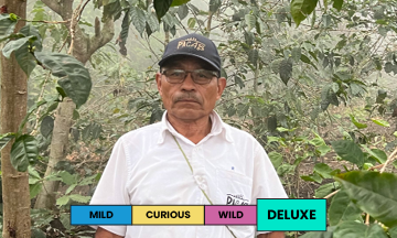 El Salvador | Los Bellotos | Bernardina | Anaerobic Honey Sunset