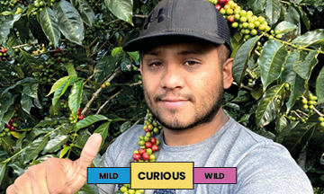 Guatemala | El Paraiso | Bourbon & Caturra | Washed