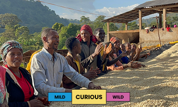 Ethiopia | Halo Beriti | Heirloom | Washed