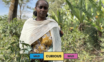 Ethiopia | Nigist Girmachew | Heirloom | Natural