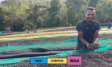 Ethiopia | Riripa | Heirloom | Natural