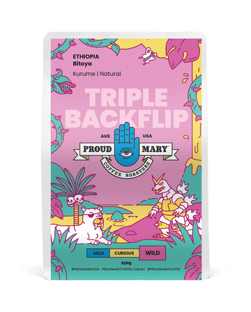 Ethiopia | Bitoya | Kurume | Natural