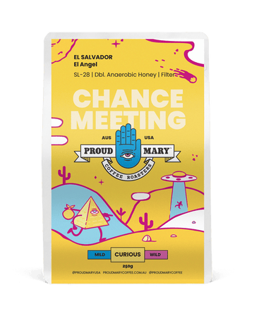 El Salvador | El Angel | SL-28 | Double Anaerobic Honey | Filter | 250g