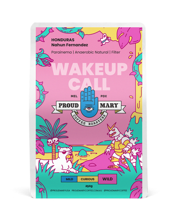 Honduras | Nahun Fernandez | Parainema | Anaerobic Natural | Filter | 250g