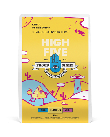 Kenya | Chania Estate | SL-28 & SL-34 | Natural | Filter | 250g