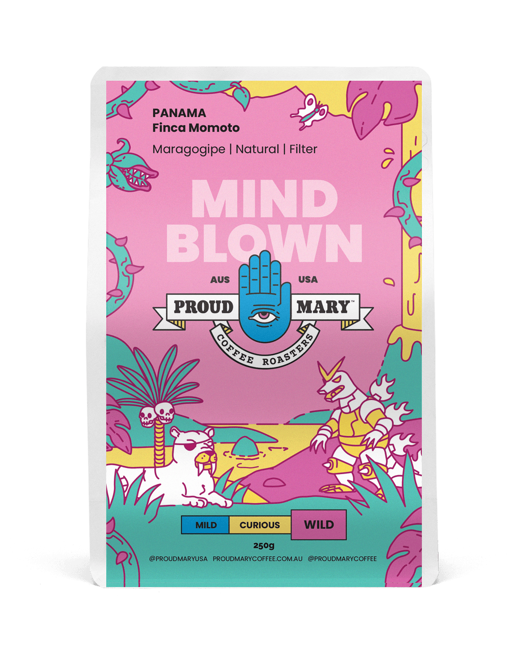 Photo of Panama Finca Momoto Maragogipe Natural Filter 250G 1