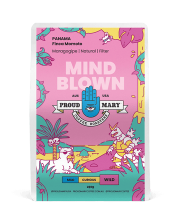 Panama | Finca Momoto | Maragogipe | Natural | Filter | 250g