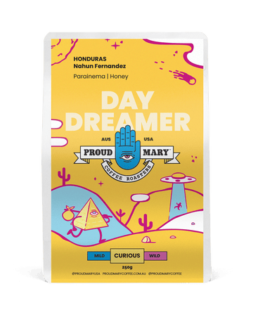 Honduras | Nahun Fernandez | Parainema | Honey