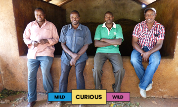 Kenya | Fram Farm | Batian & Ruiru 11 | Washed | Filter | 250g