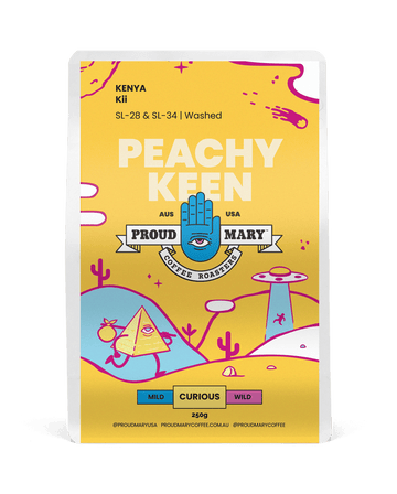 Kenya | Kii | SL-28 & SL-34 | Washed