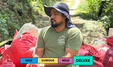 Mexico | Santa Cruz | Geisha | Honey