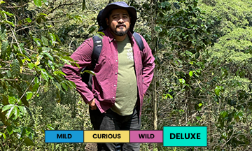 Mexico | Santa Cruz | Geisha | Washed