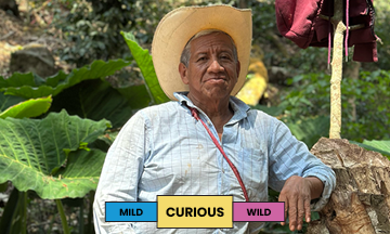 Mexico | Santa Cruz | Typica & Bourbon | Honey