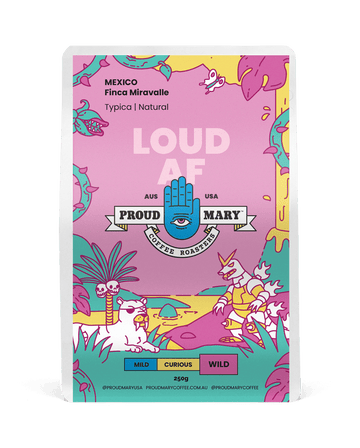 Mexico | Finca Miravalle | Typica | Natural