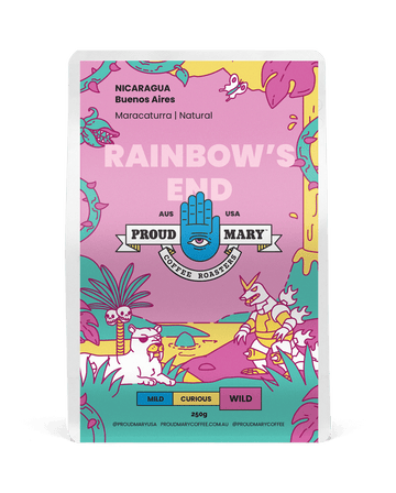 Nicaragua | Buenos Aires | Maracaturra | Natural