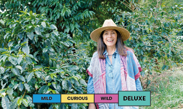 Panama | Bambito Estate | Geisha | Washed