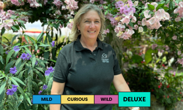 Panama | Janson Farms - Los Alpes #597 | Geisha | Natural