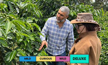Panama | Mama Cata Estate - Toña | Geisha | ASD Natural