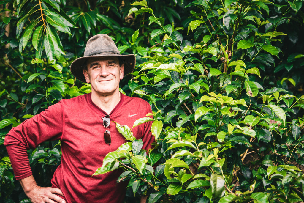 LIMITED | PANAMA | Finca Sofia | La Roca | Best of Panama #2 | Geisha | Natural