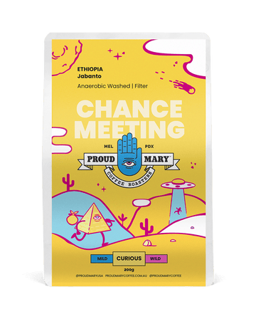 Ethiopia | Jabanto | Kurume | Anaerobic Washed | Filter | 200g