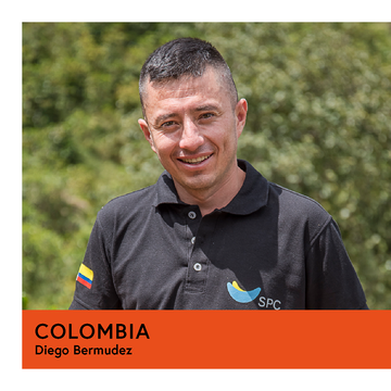 Colombia | Diego Bermudez | Castillo | Washed | Filter | 250g - Proud Mary Coffee Melbourne
