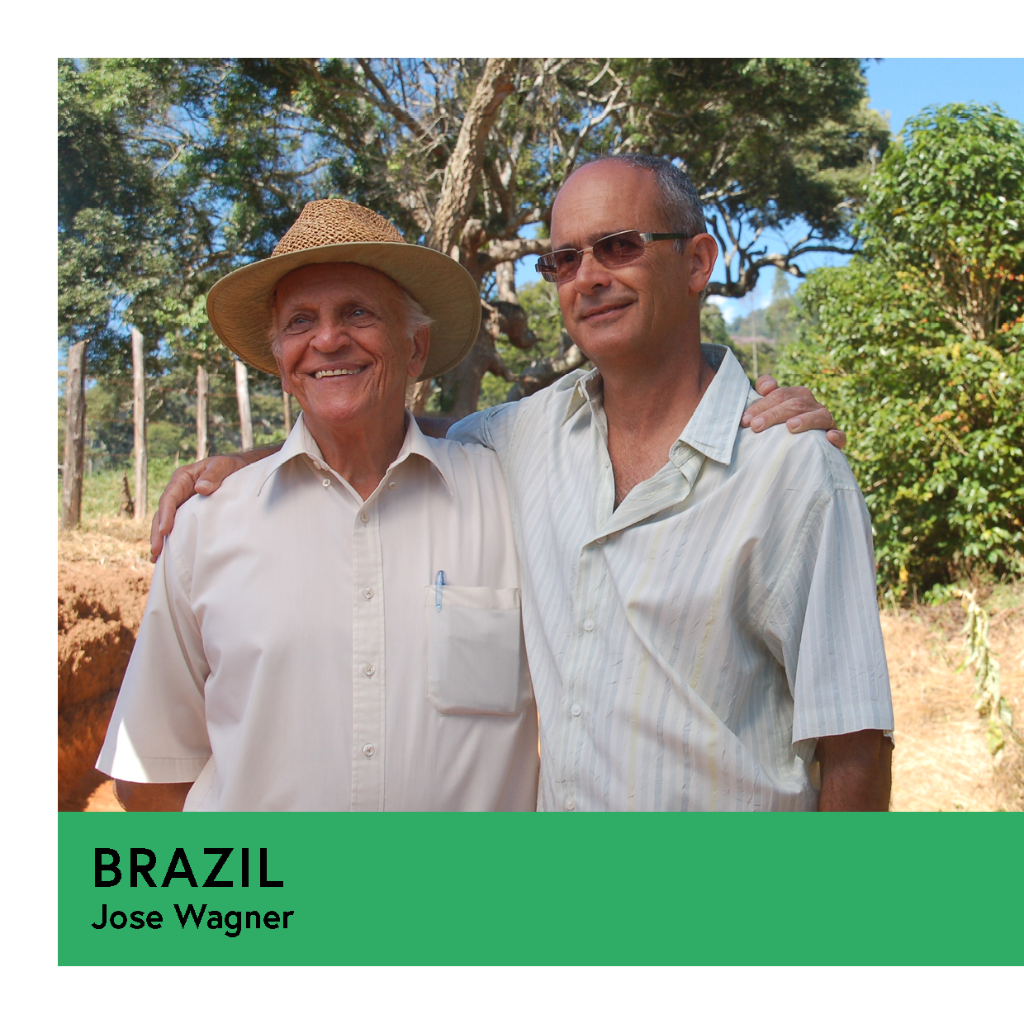 Brazil | Jose Wagner Junqueira | Yellow Bourbon | Pulped Natural | Filter | 250g - Proud Mary Coffee Melbourne