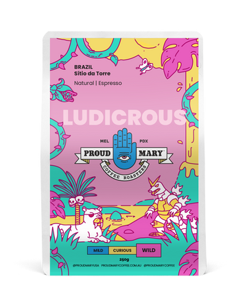 Brazil | Sítio da Torre | Yellow Bourbon | Natural | Espresso | 250g