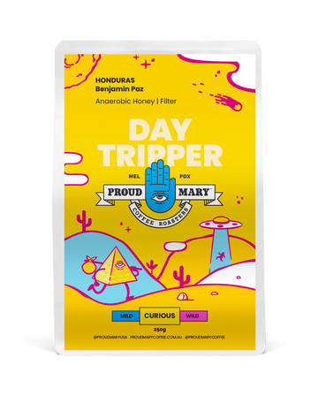 Honduras | Benjamin Paz | Pacas | Anaerobic Honey | Filter | 250g