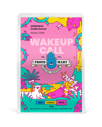 Honduras | Ovidio Gomez | Parainema | Honey | Filter | 200g