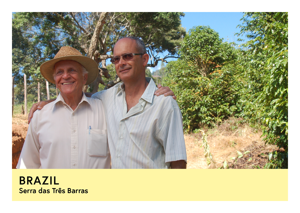 Brazil | Serra das Três Barras  | Yellow Catuai | Natural | Espresso | 250g