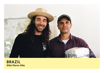 Brazil | Sítio Morro Alto  | Yellow Bourbon | Natural | Filter | 250g