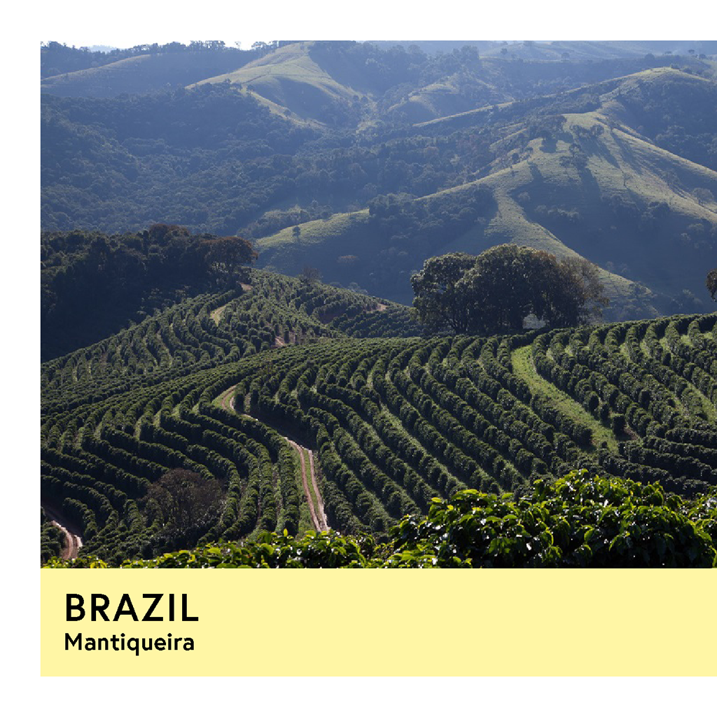 Photo of Brazil | Mantiqueira | Yellow Catuai & Yellow Bourbon | Natural | Espresso | 250g