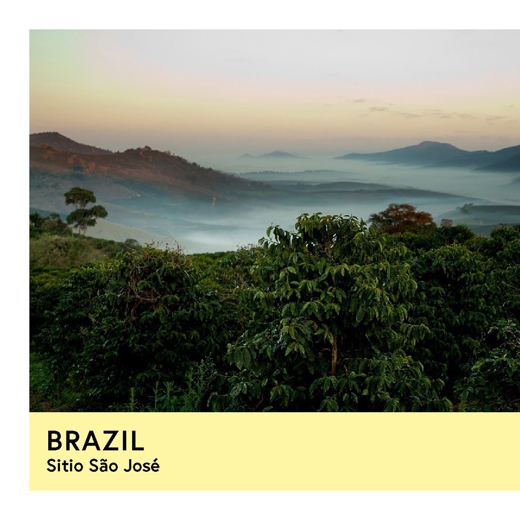 Brazil | Sitio São José | Yellow Catuai | Natural | Espresso | 250g - Proud Mary Coffee Melbourne