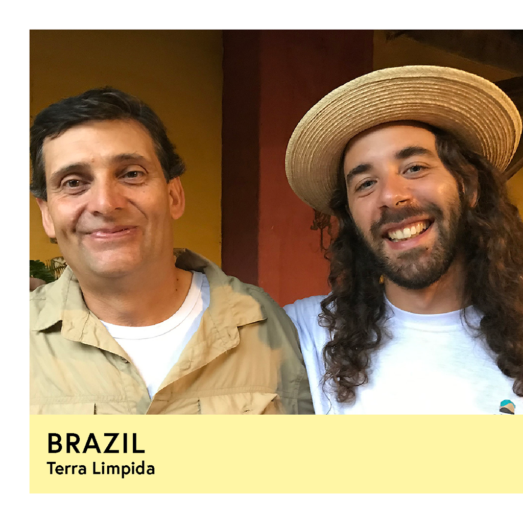 Brazil | Terra Limpida | Yellow Catucai | Natural | Espresso | 250g - Proud Mary Coffee Melbourne
