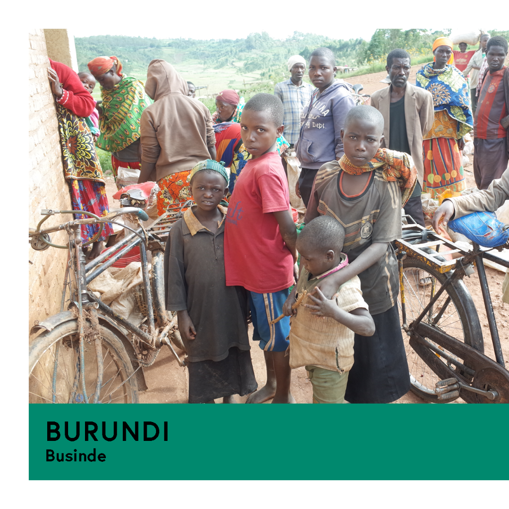 Burundi | Businde | Red Bourbon | Natural | Espresso | 250g - Proud Mary Coffee Melbourne