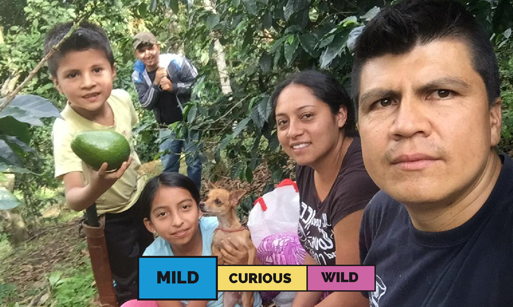Colombia | Los Lagos | Caturra | Washed | Filter | 250g
