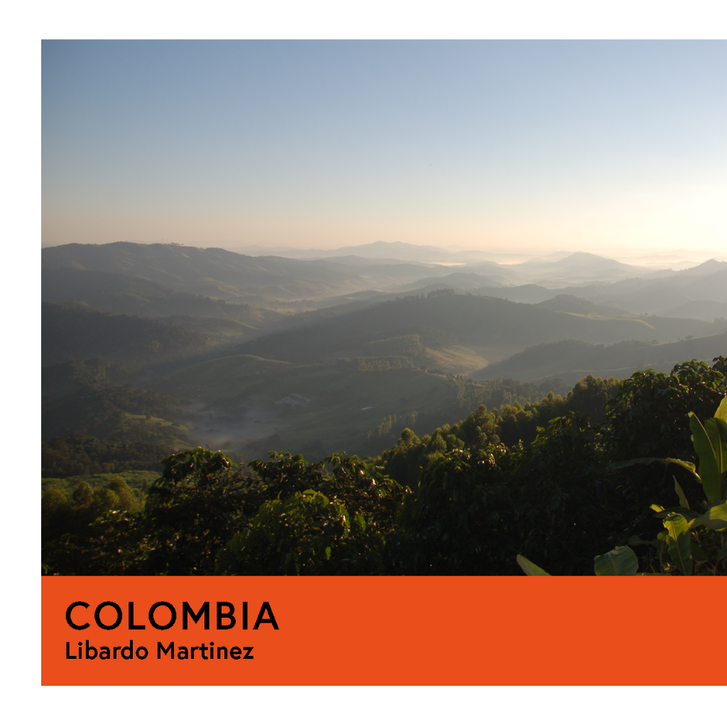 Colombia | Libardo Martinez | Colombia & Caturra | Natural | Espresso | 200g - Proud Mary Coffee Melbourne