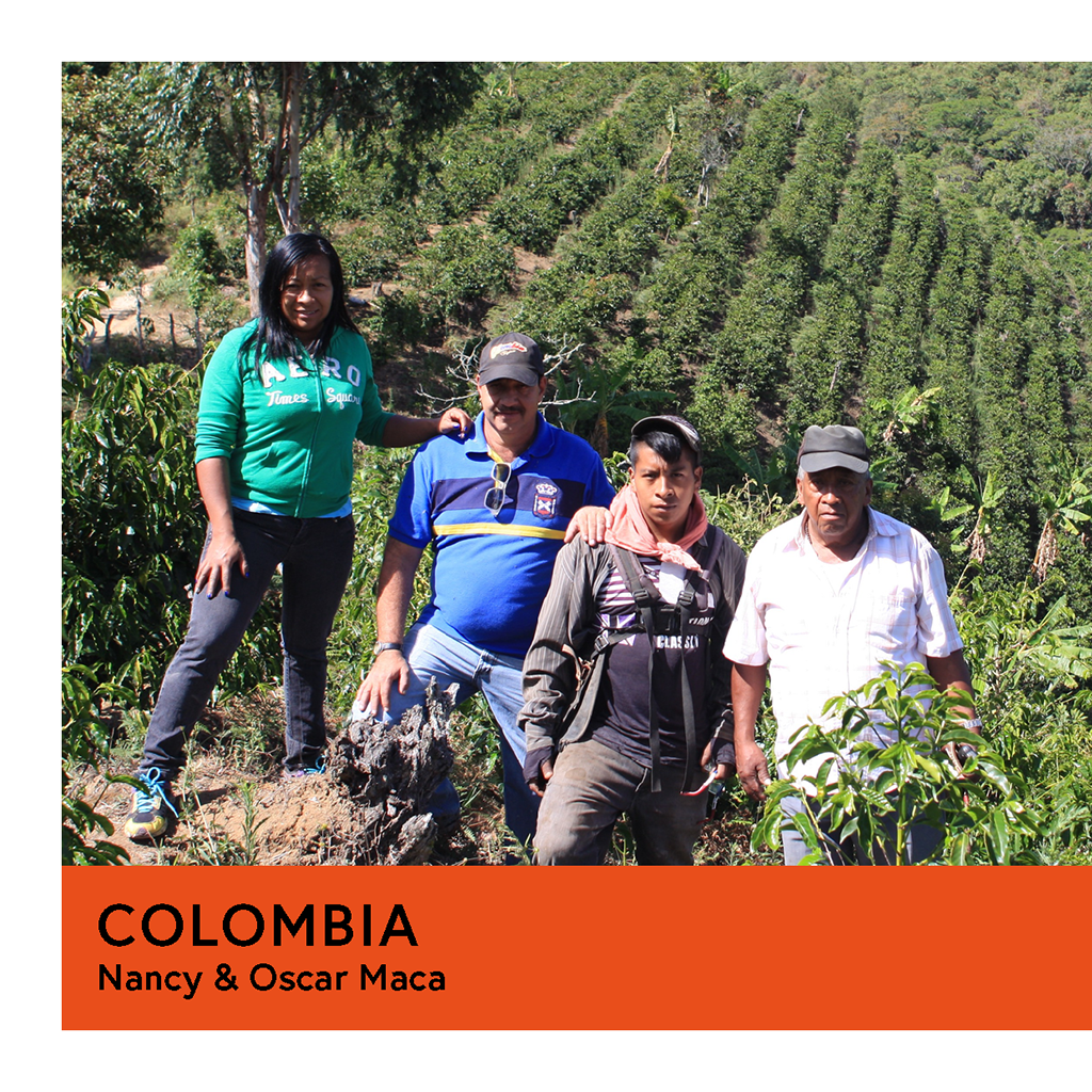 Colombia | Nancy & Oscar Maca | Gesha | Natural | Filter | 100g - Proud Mary Coffee Melbourne