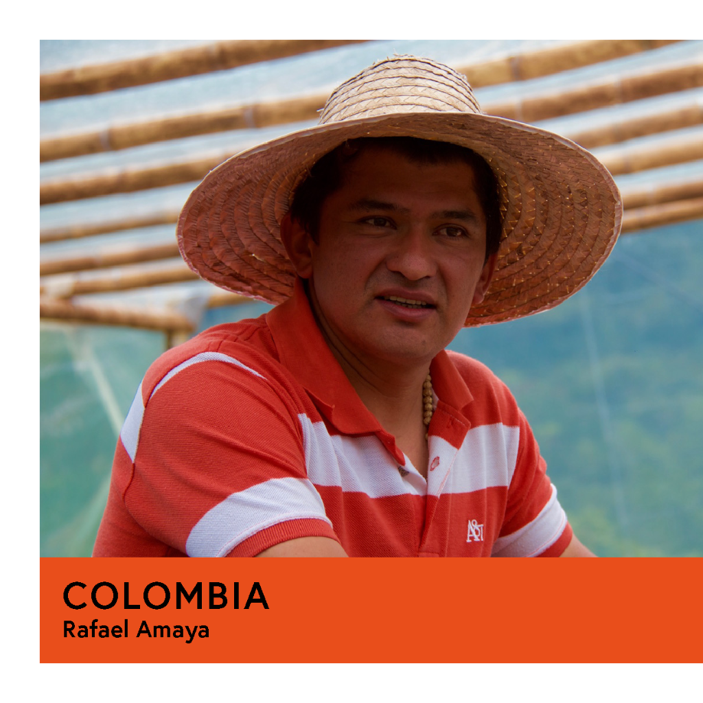 Photo of Colombia | Rafael Amaya | Caturra | Anaerobic Washed 180hr | Espresso | 250g