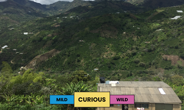 Colombia | El Naranjo | Colombia | Honey | Filter | 250g