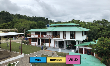 Colombia | La Cereza | Bourbon & Caturra | CM Natural | Filter | 250g